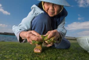 produljenje životnog vijeka
