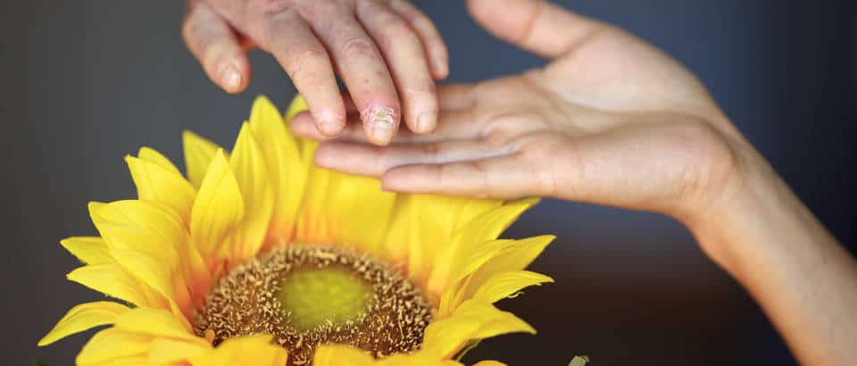 023c38b14af2fe3b11654bd9991be17f-hero