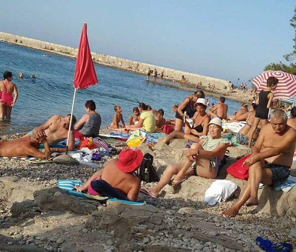 22050560_290286954802618_363480452_o